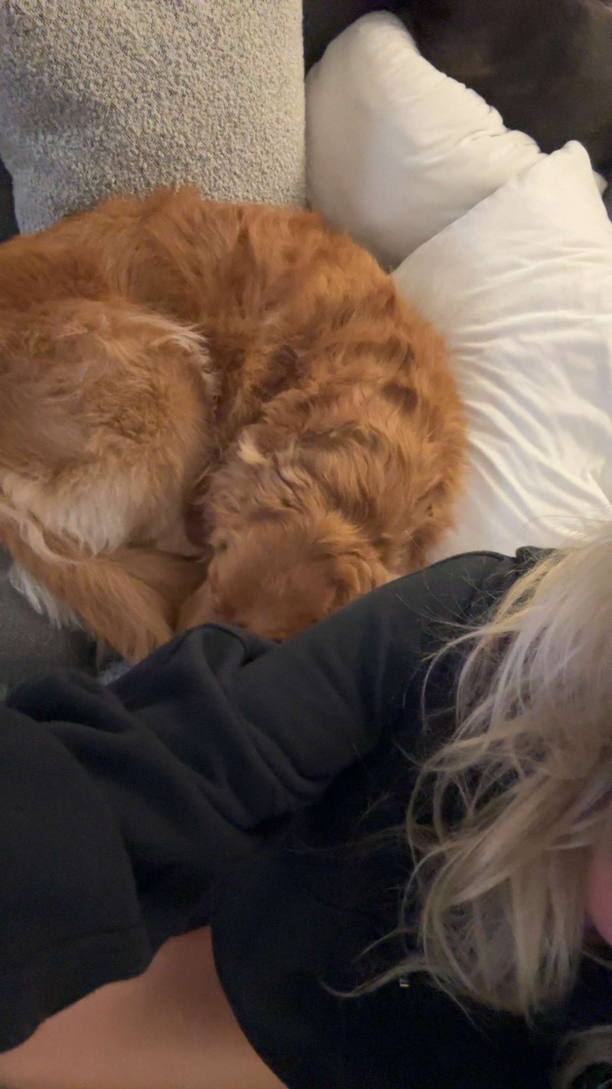 kylaayese snapchat image archive image