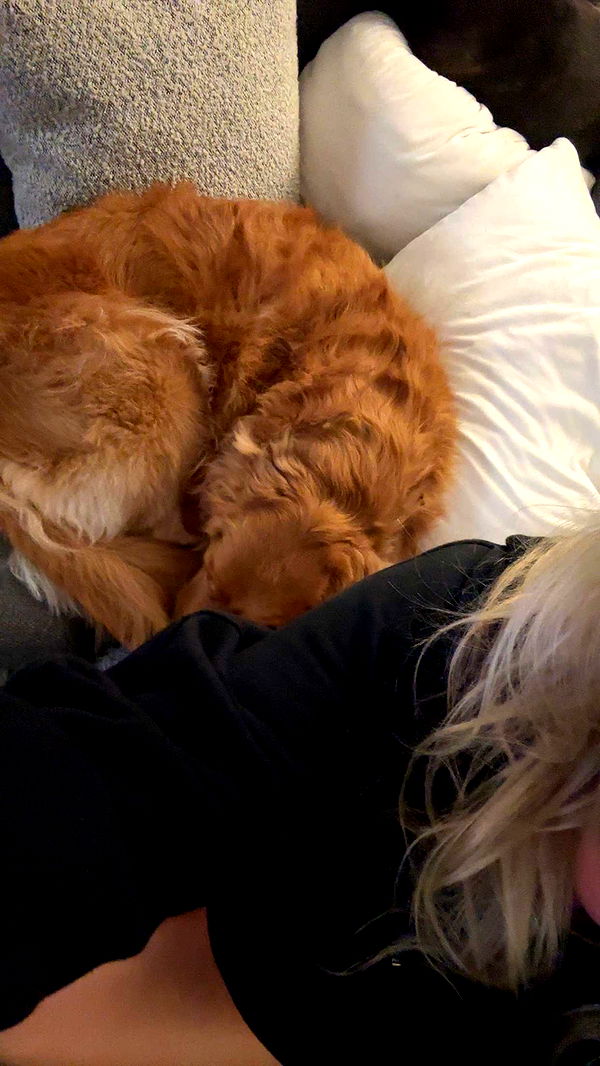 kylaayese image ~ Altpins