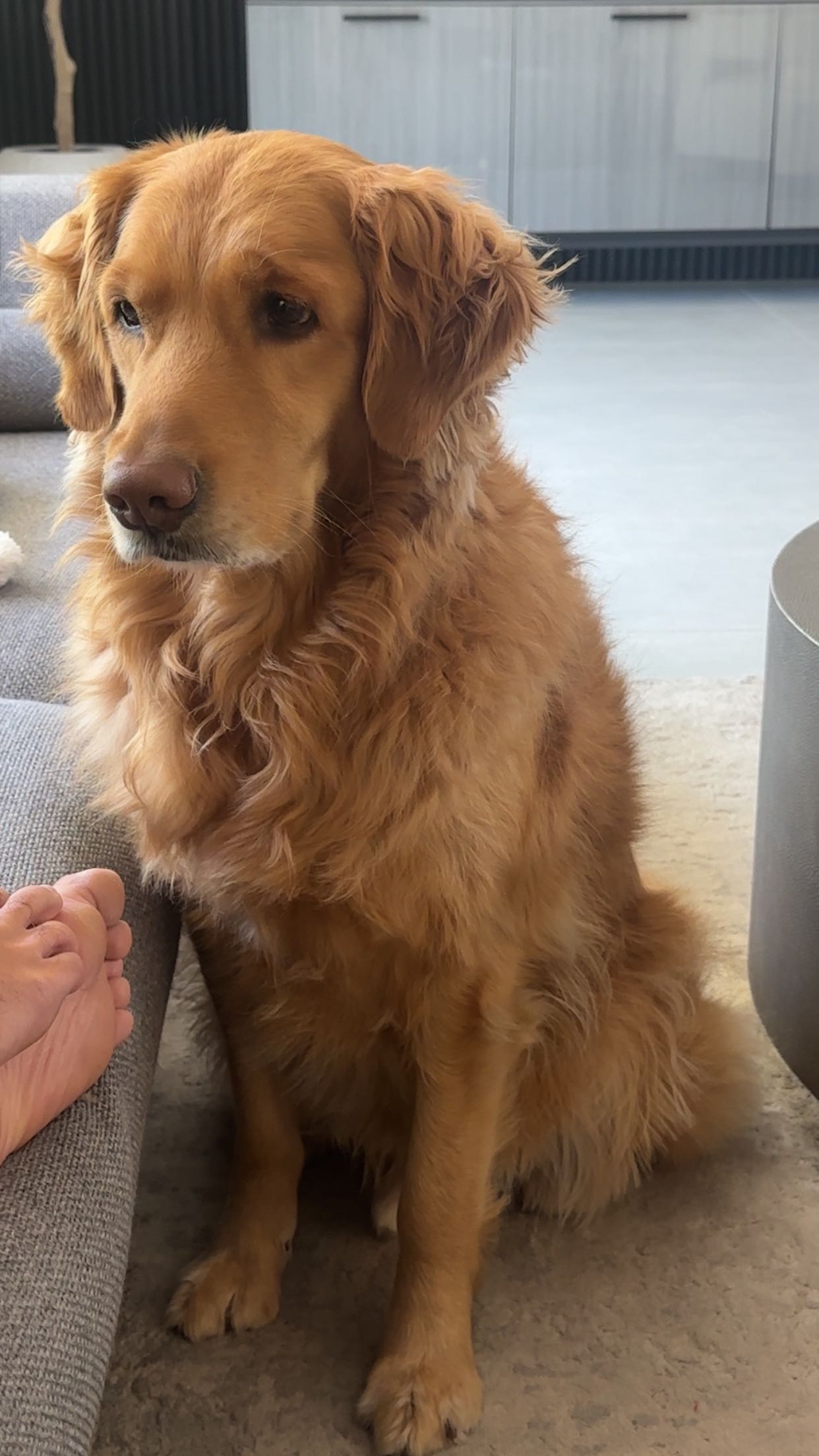 kylaayese snapchat image archive image