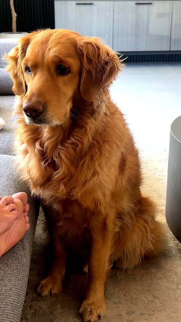 kylaayese image ~ Altpins