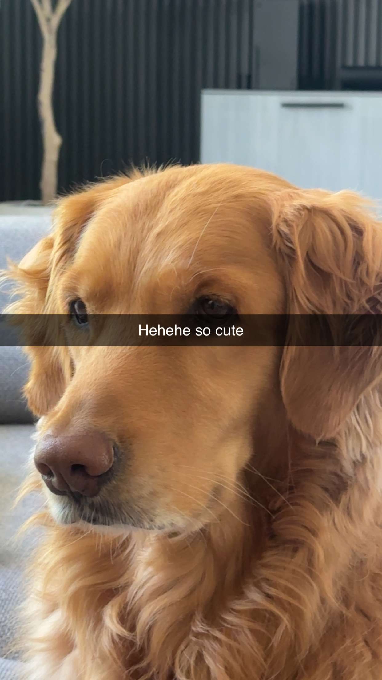 kylaayese snapchat image archive image