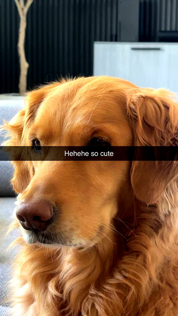 kylaayese image ~ Altpins