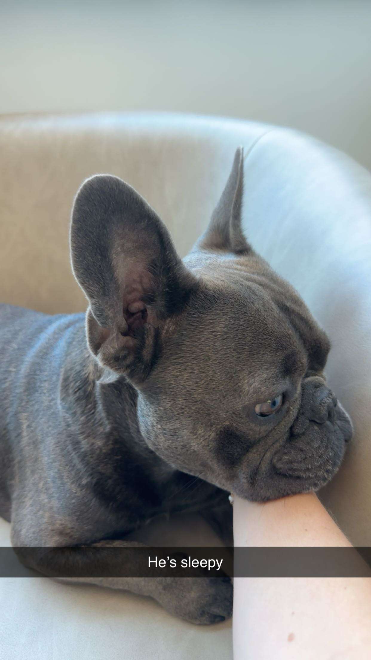 kylaayese snapchat image archive image