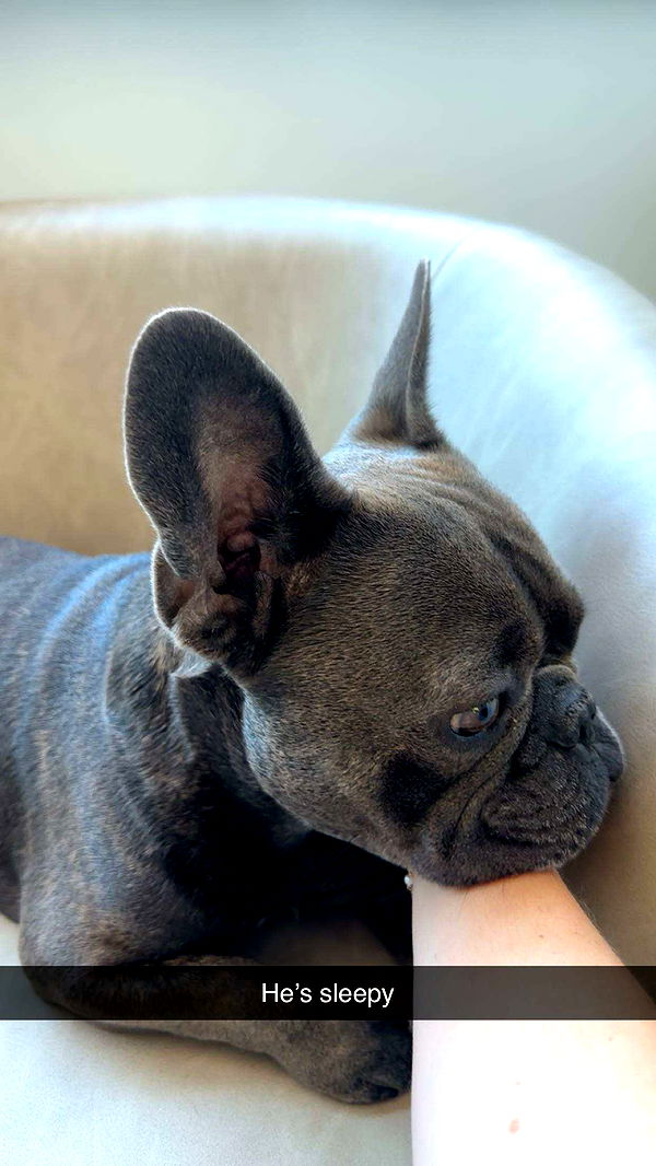 kylaayese image ~ Altpins