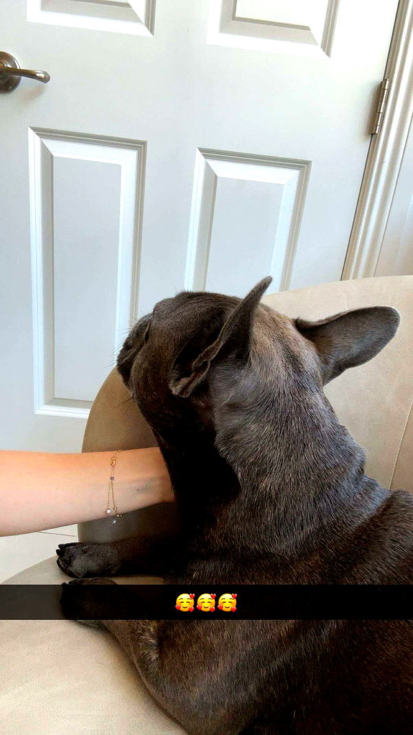 kylaayese image ~ Altpins