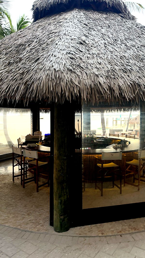 kylaayese image ~ Altpins