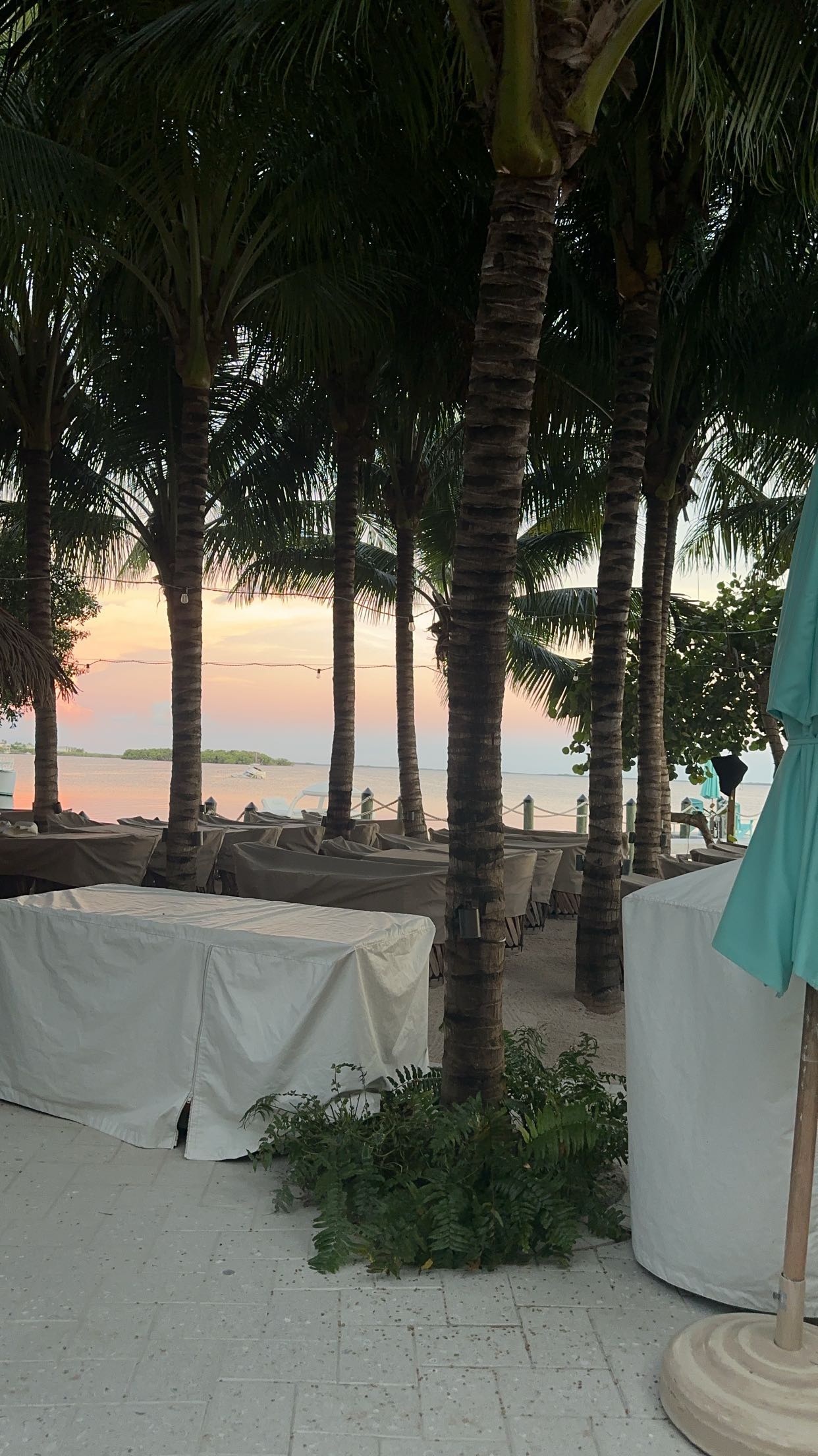 kylaayese snapchat image archive image