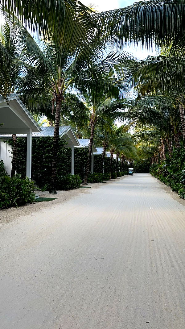 kylaayese image ~ Altpins