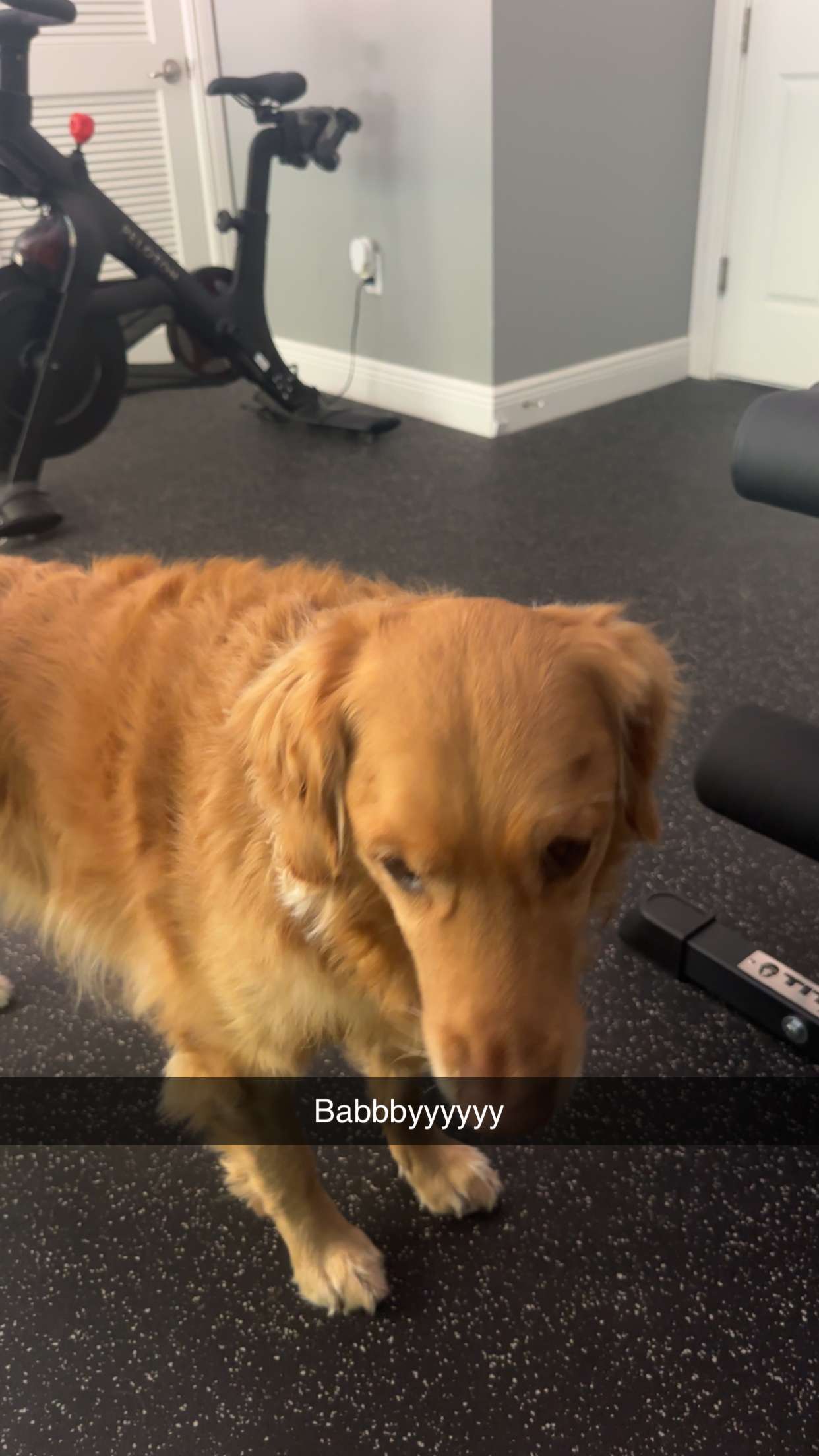 kylaayese snapchat image archive image