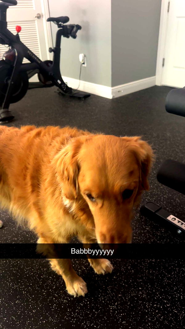 kylaayese image ~ Altpins