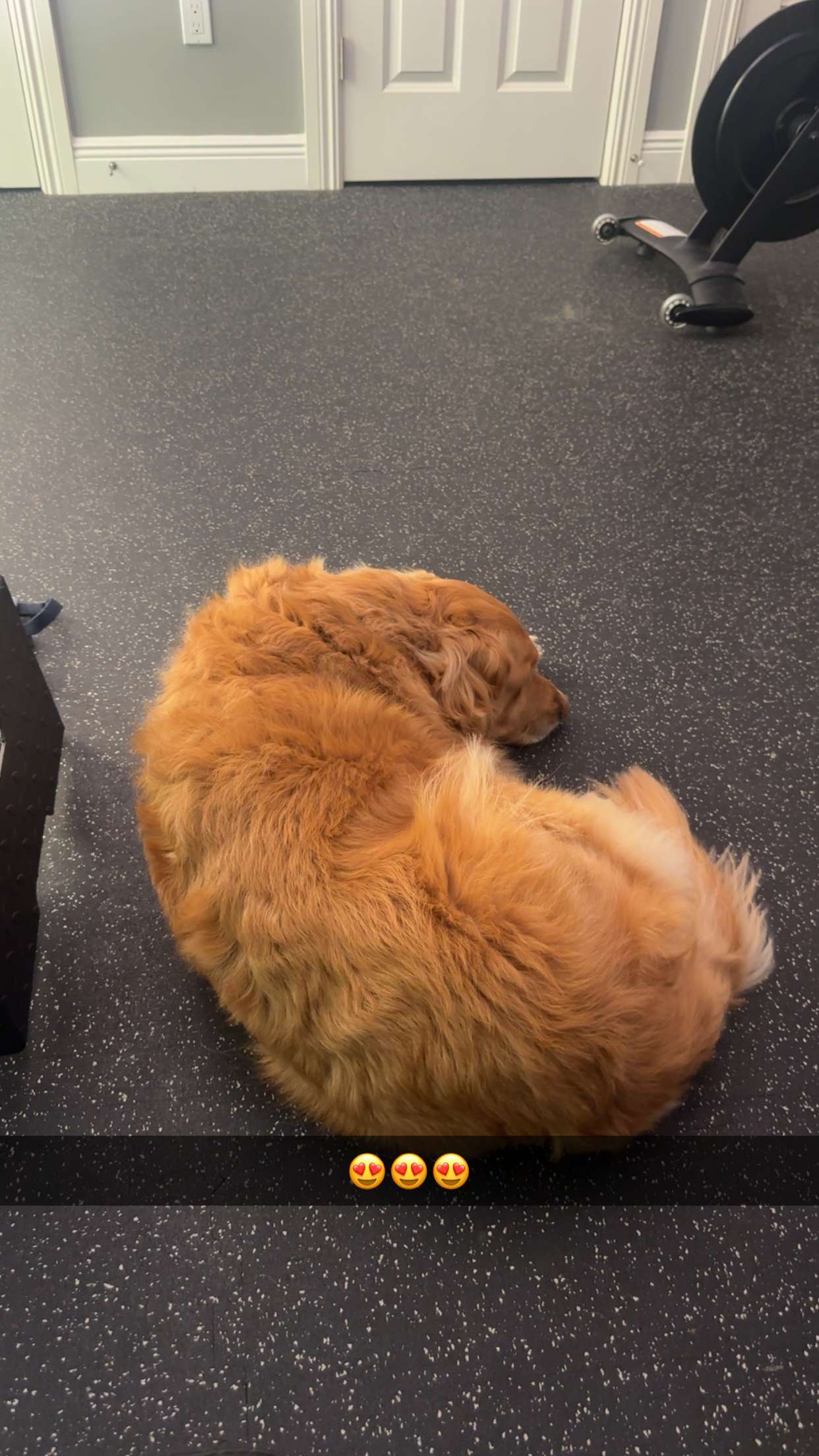 kylaayese snapchat image archive image