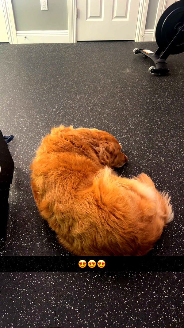 kylaayese image ~ Altpins