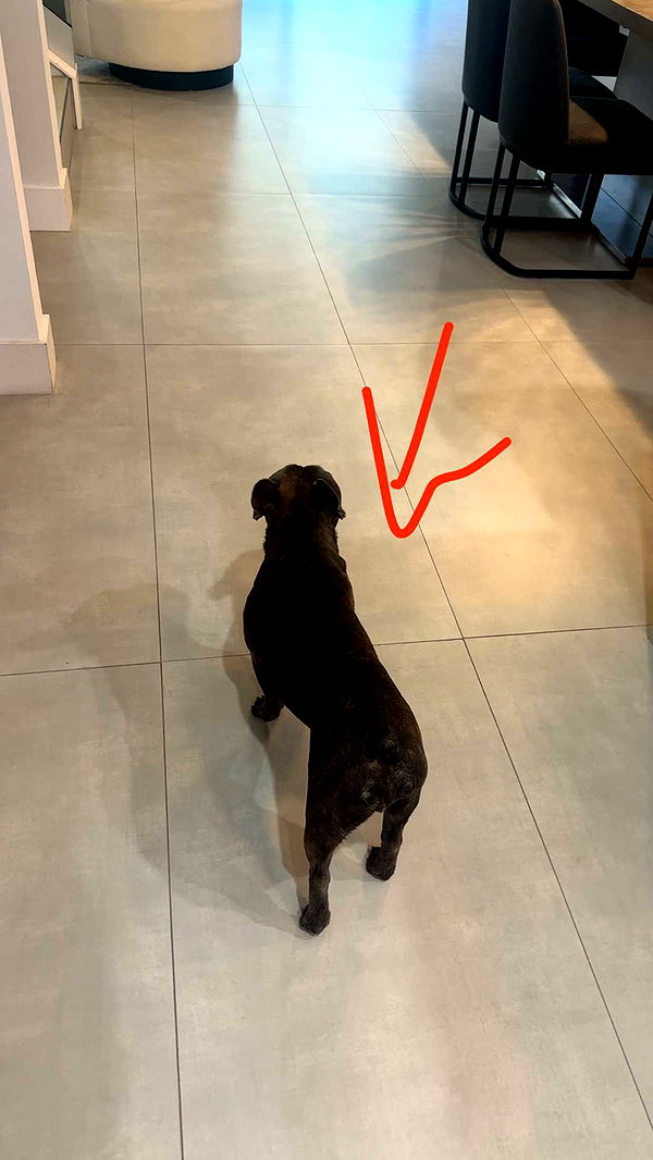 kylaayese image ~ Altpins