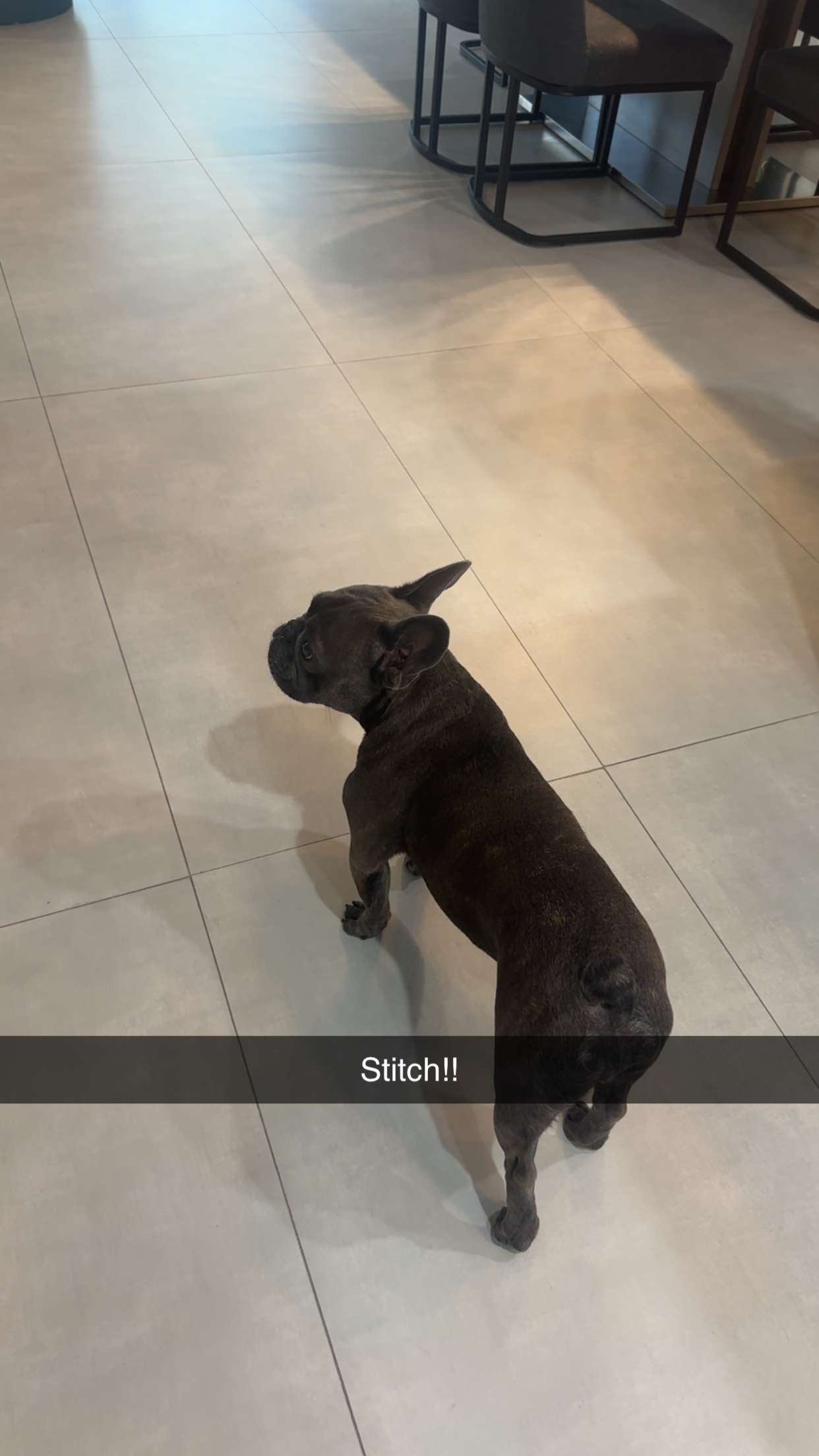 kylaayese snapchat image archive image