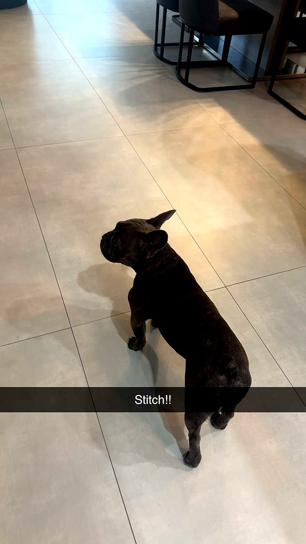 kylaayese image ~ Altpins