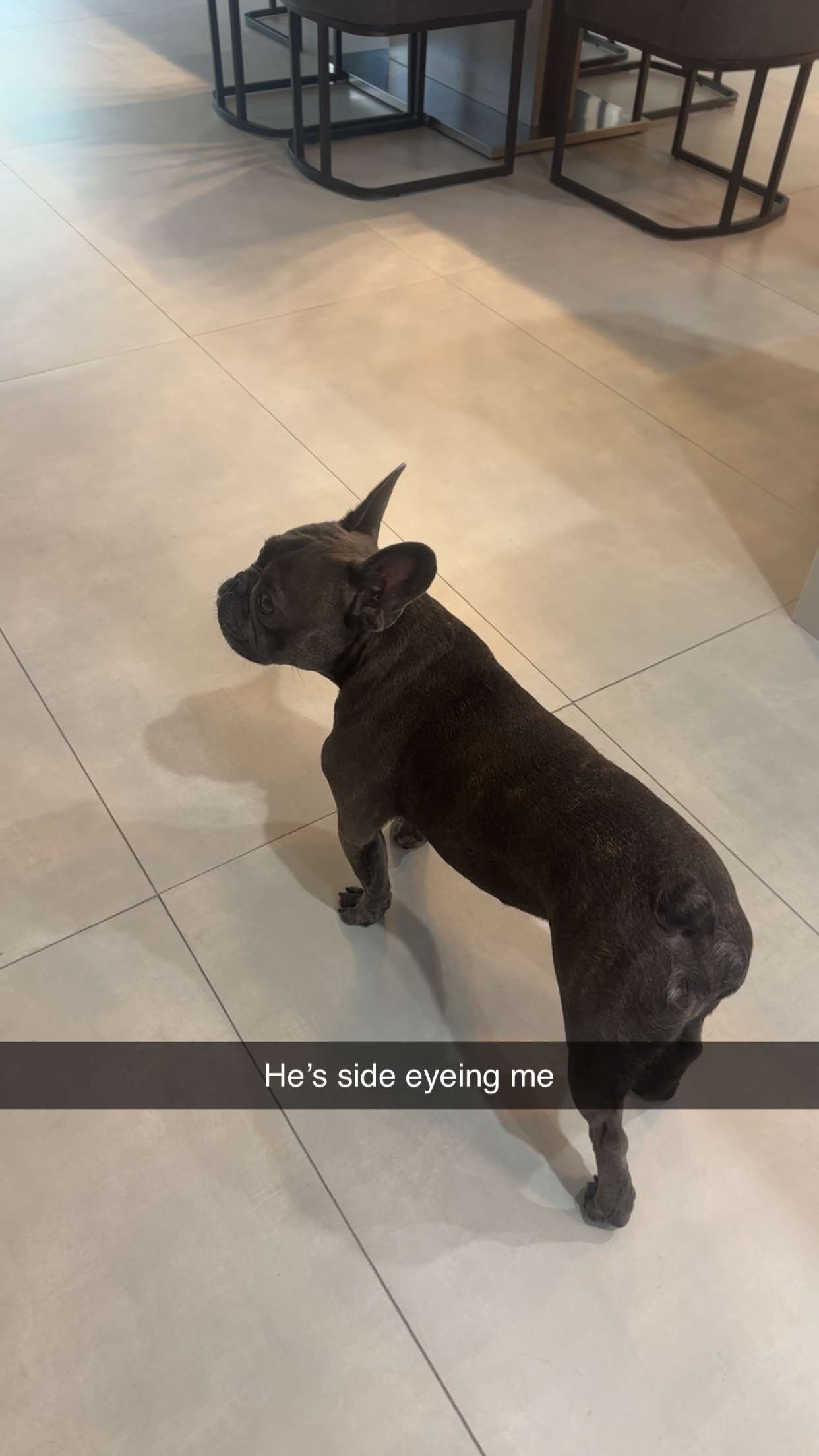 kylaayese snapchat image archive image