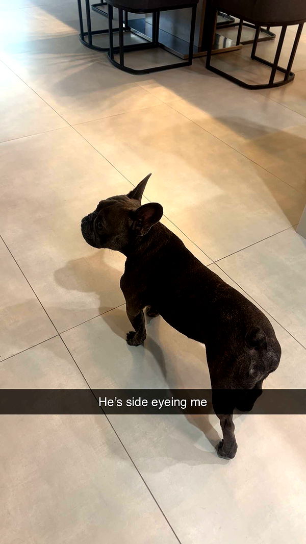 kylaayese image ~ Altpins