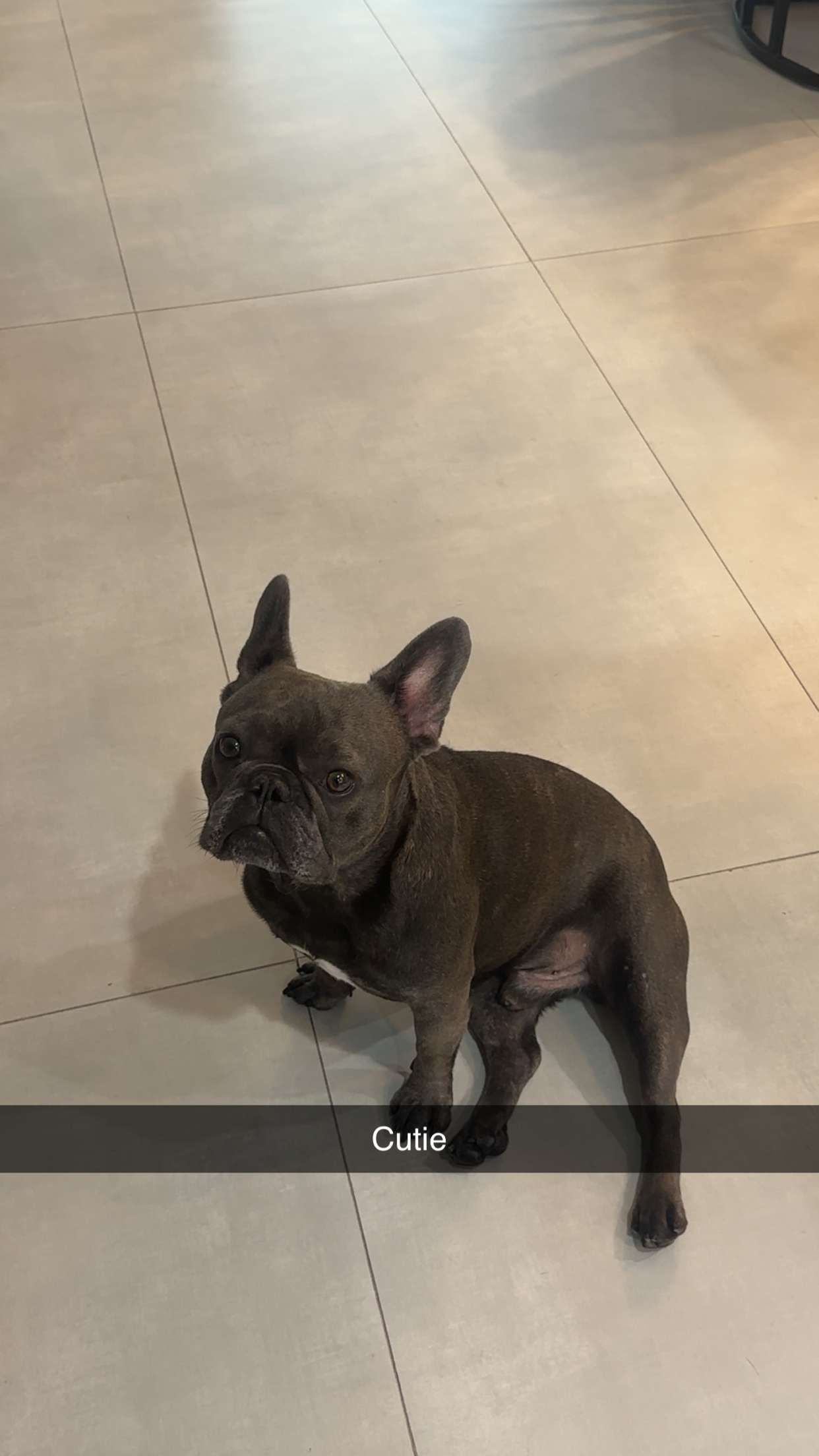 kylaayese snapchat image archive image