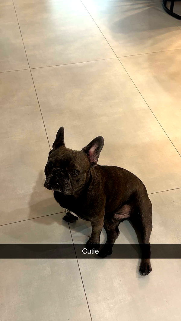 kylaayese image ~ Altpins