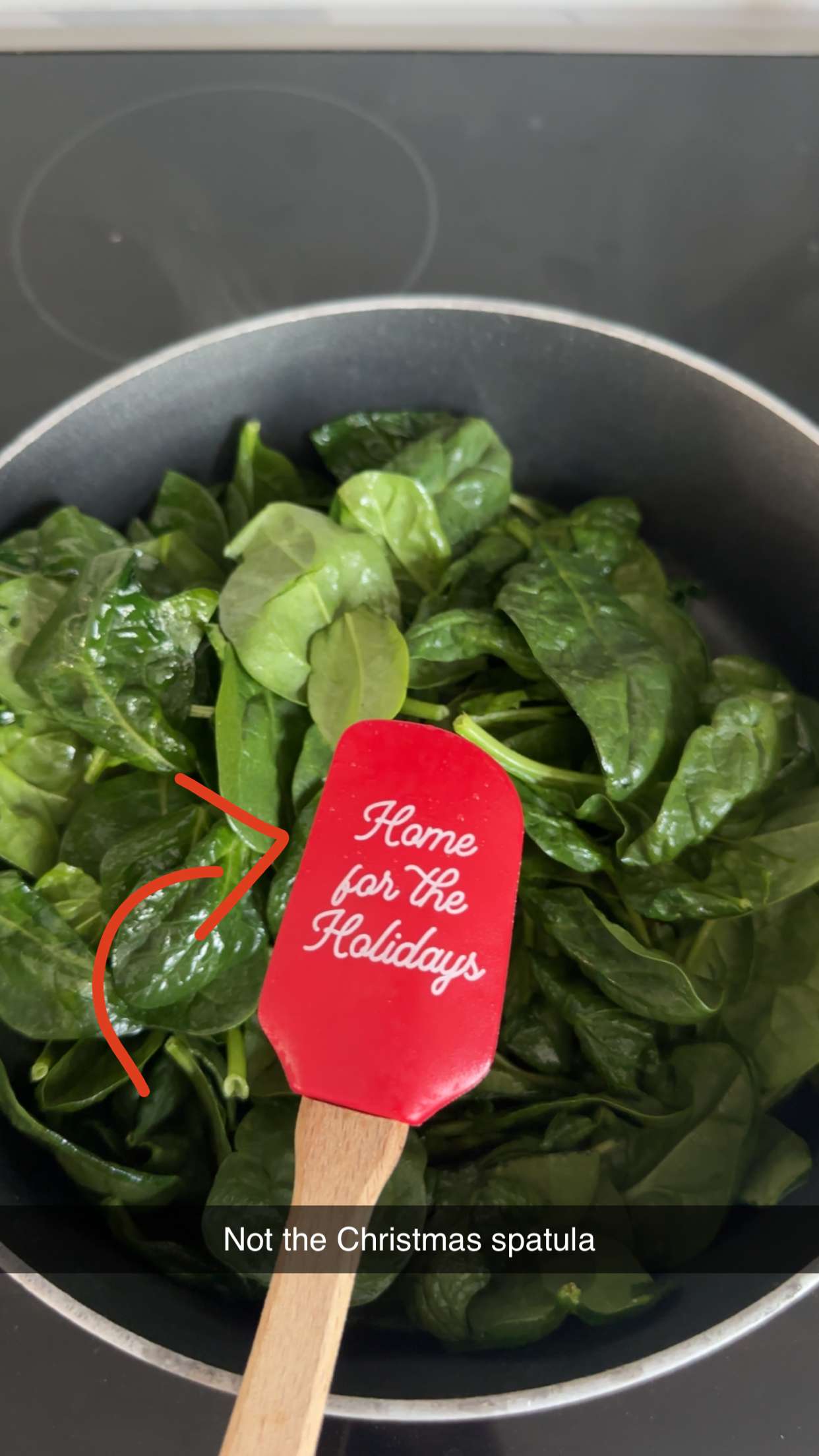 kylaayese snapchat image archive image