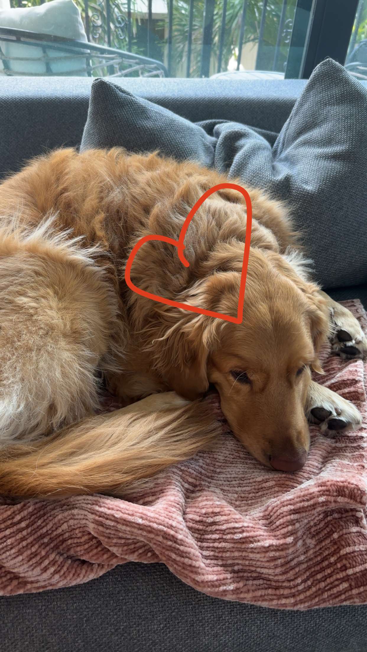 kylaayese snapchat image archive image