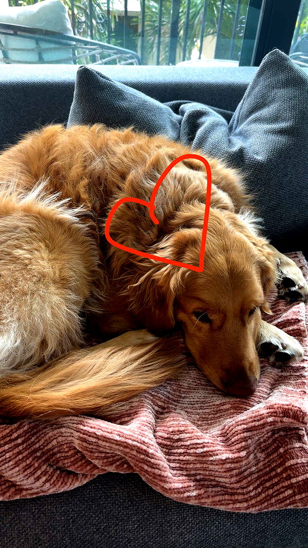 kylaayese image ~ Altpins