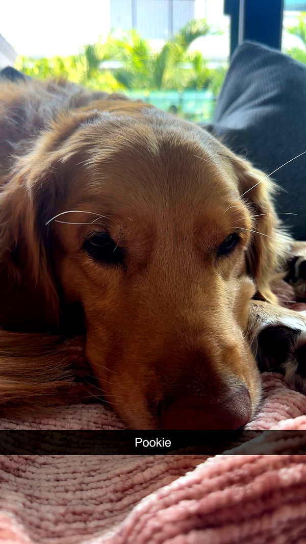 kylaayese image ~ Altpins