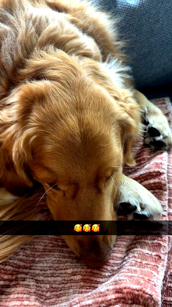 kylaayese image ~ Altpins