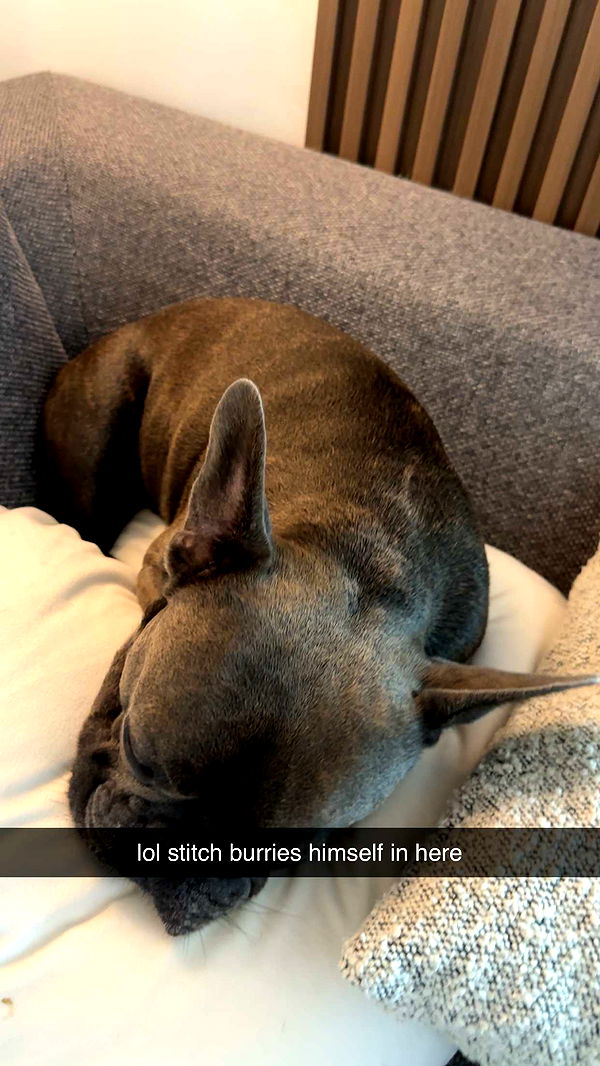 kylaayese image ~ Altpins