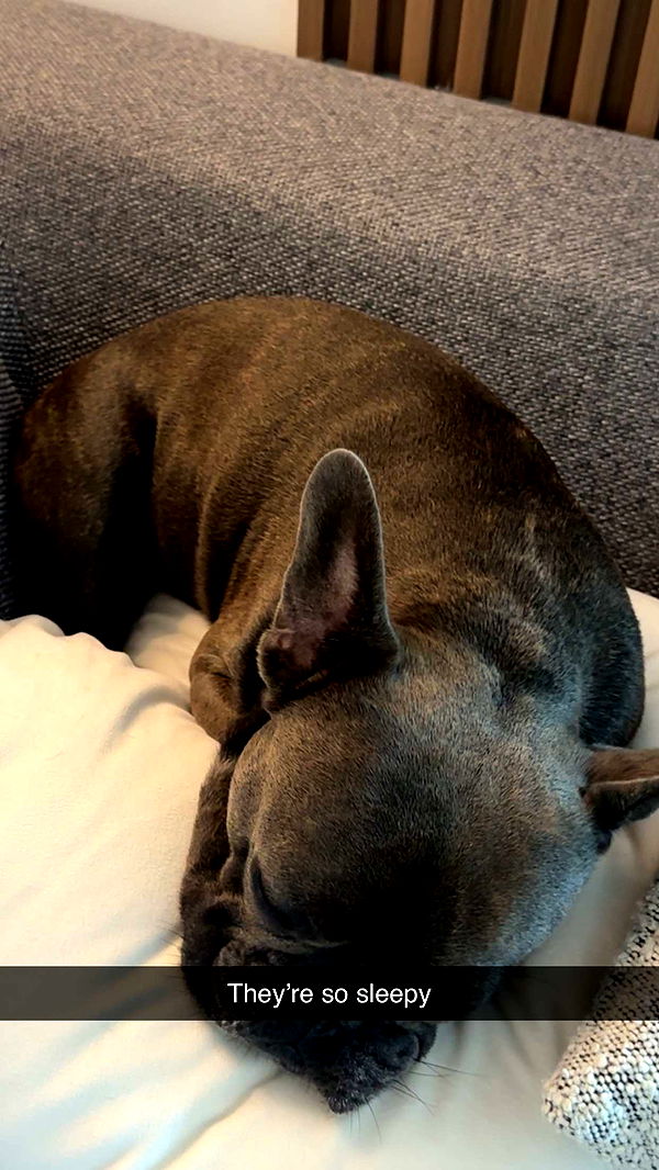 kylaayese image ~ Altpins