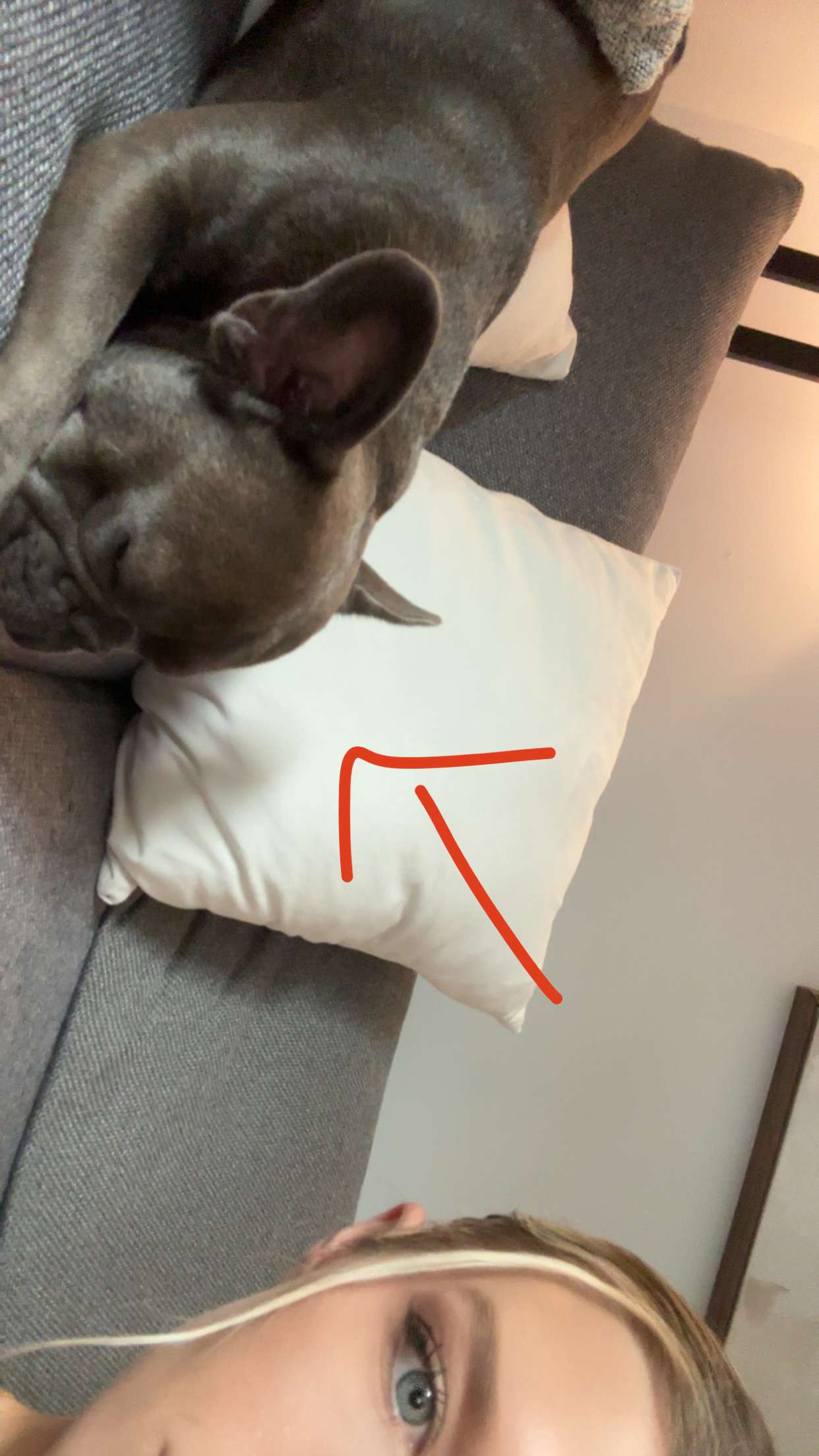 kylaayese snapchat image archive image