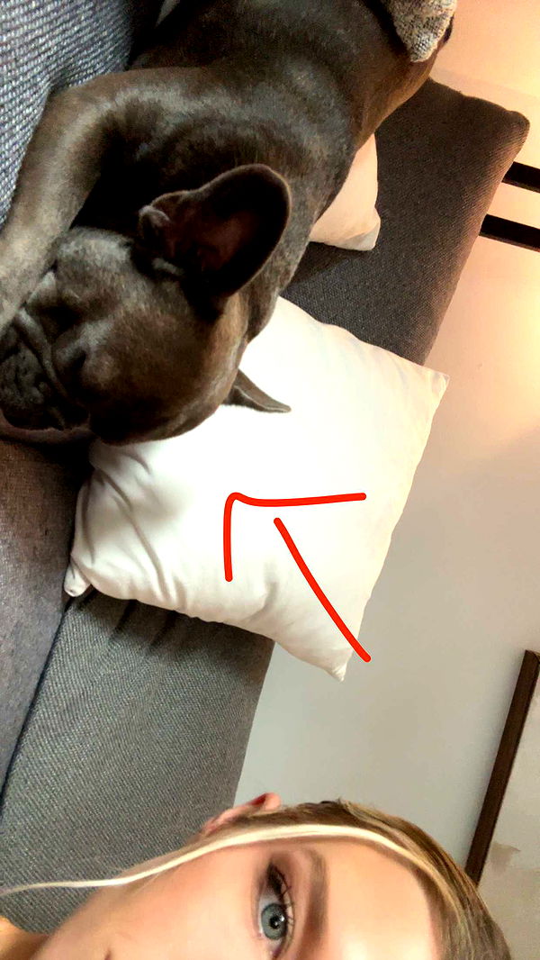 kylaayese image ~ Altpins