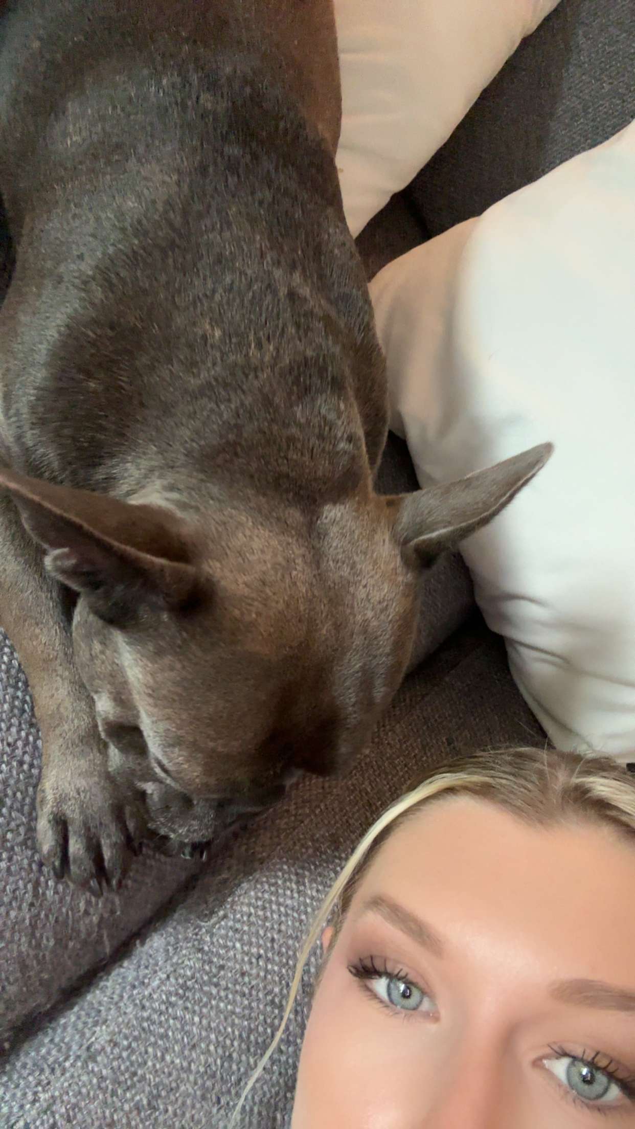 kylaayese snapchat image archive image