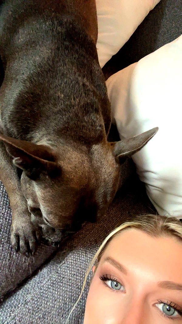 kylaayese image ~ Altpins