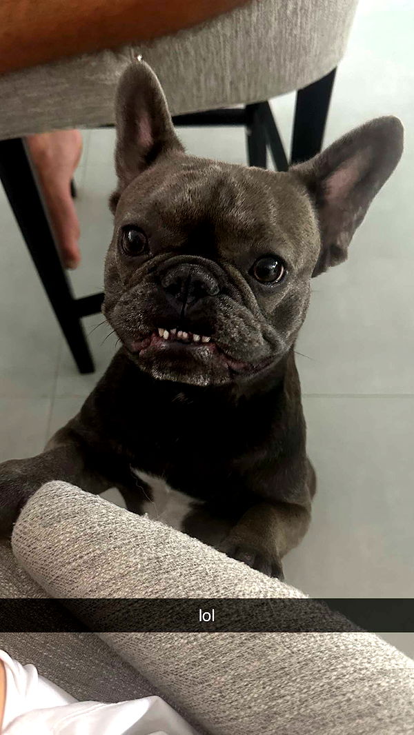 kylaayese image ~ Altpins