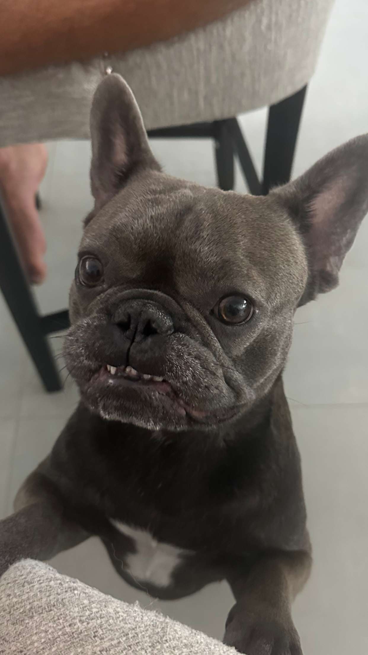 kylaayese snapchat image archive image