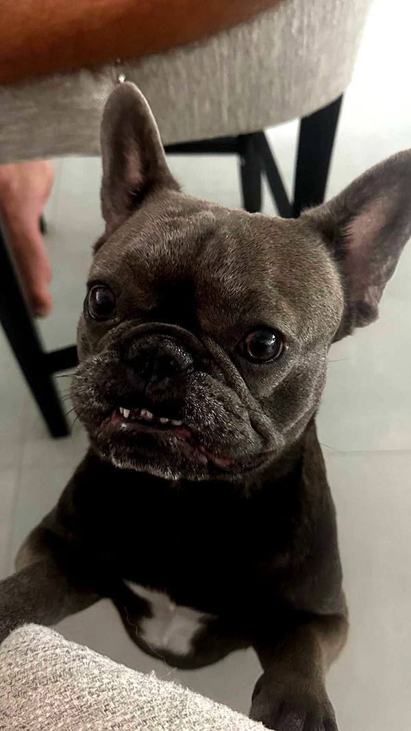 kylaayese image ~ Altpins