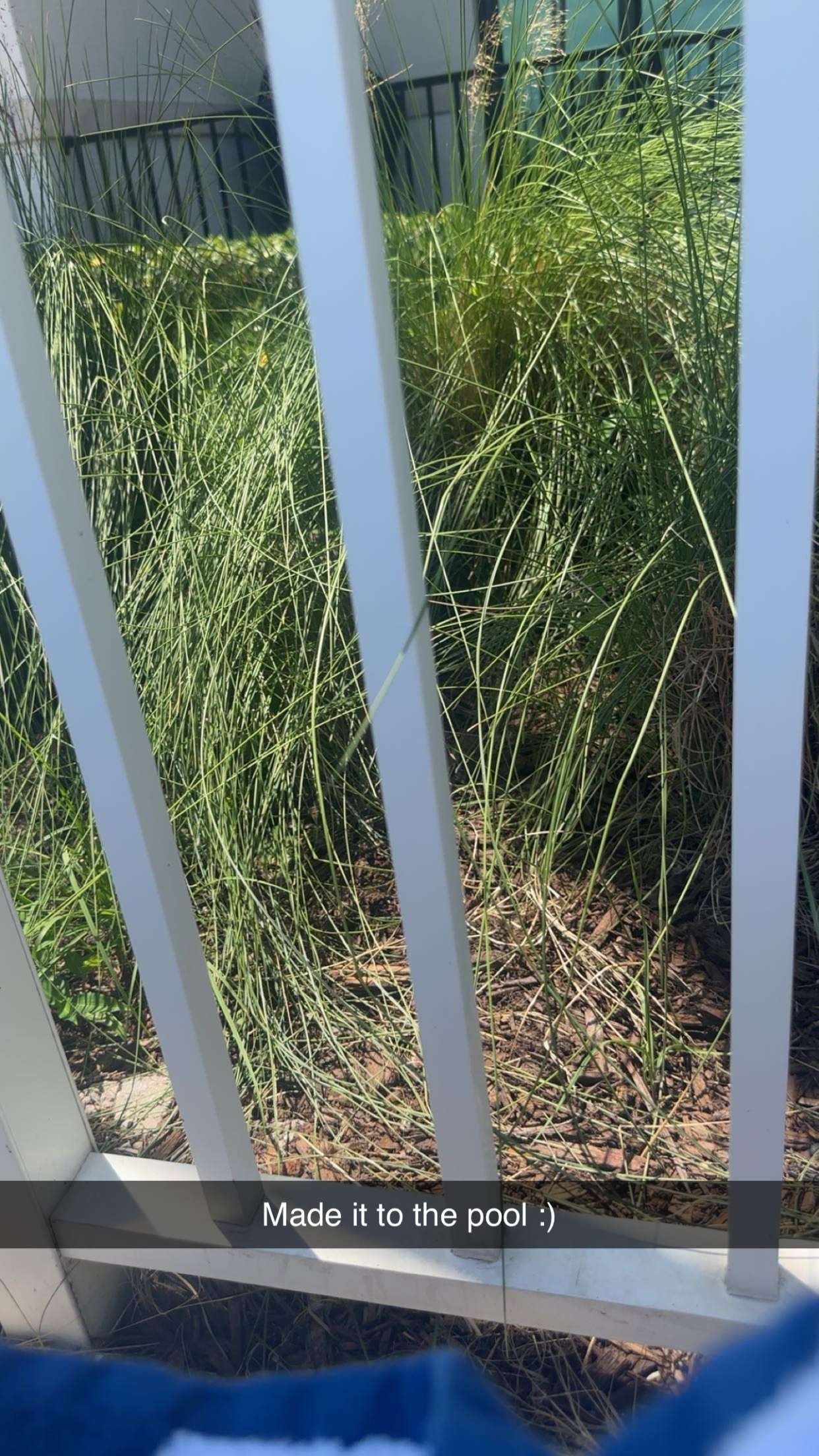 kylaayese snapchat image archive image