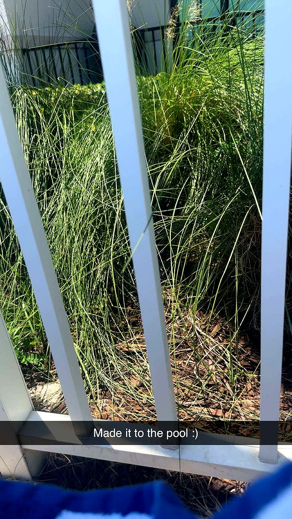 kylaayese image ~ Altpins