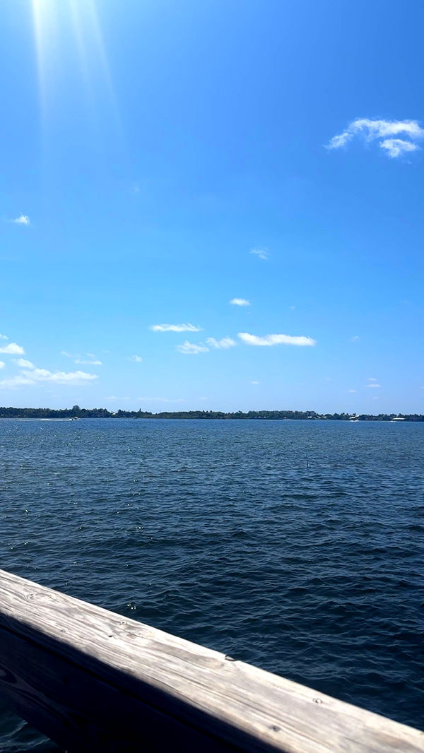 kylaayese image ~ Altpins