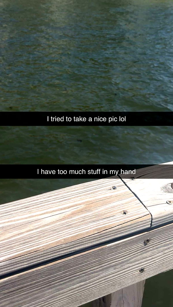 kylaayese image ~ Altpins