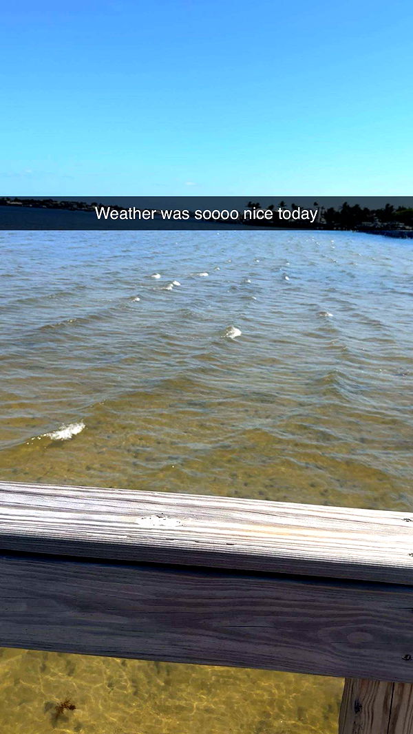 kylaayese image ~ Altpins