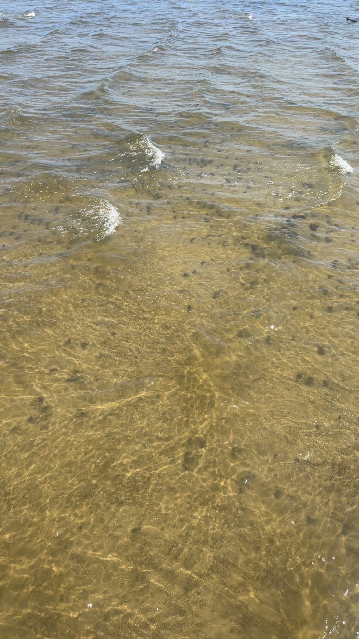 kylaayese snapchat image archive image