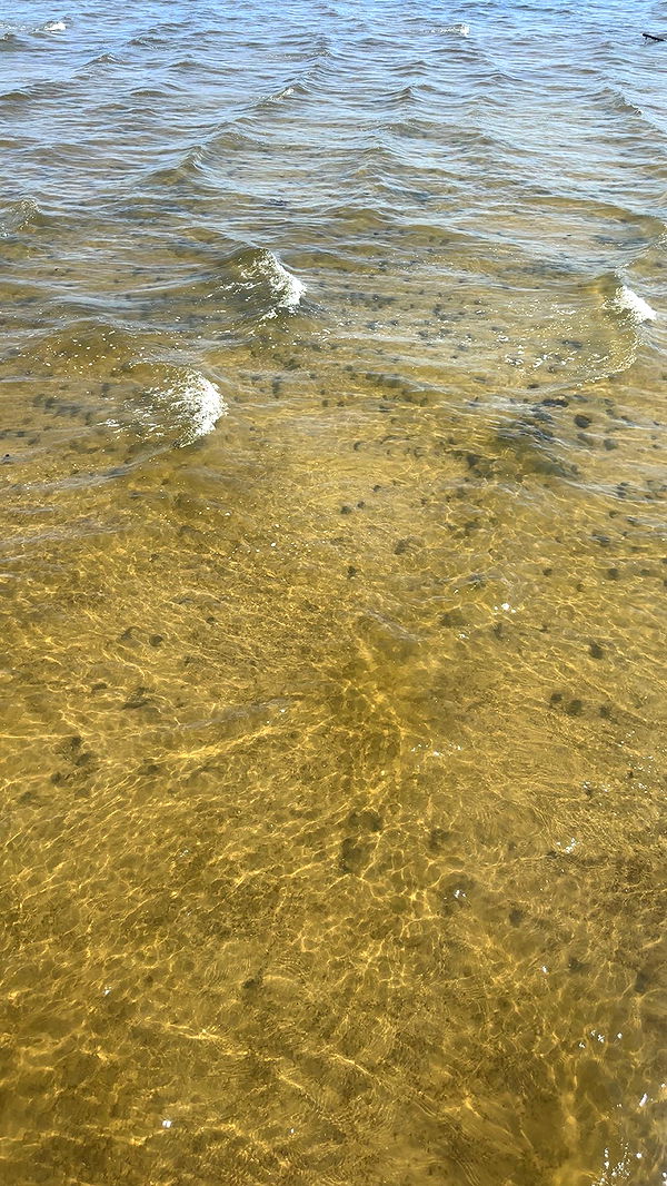 kylaayese image ~ Altpins