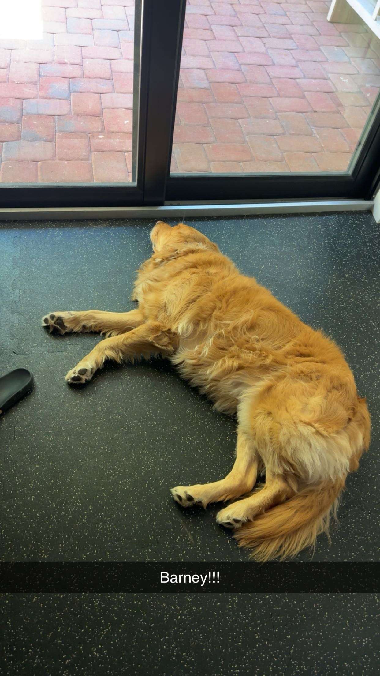 kylaayese snapchat image archive image