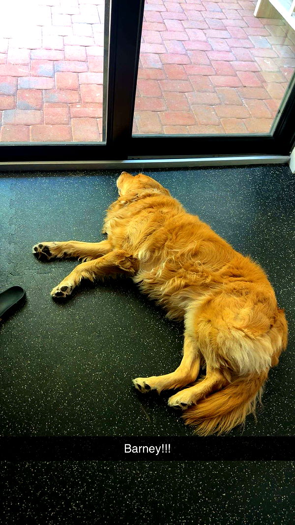 kylaayese image ~ Altpins