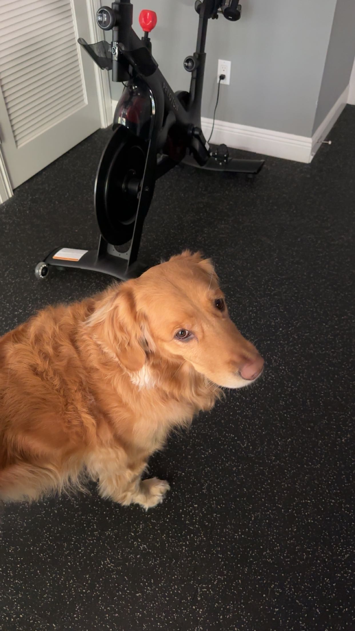 kylaayese snapchat image archive image