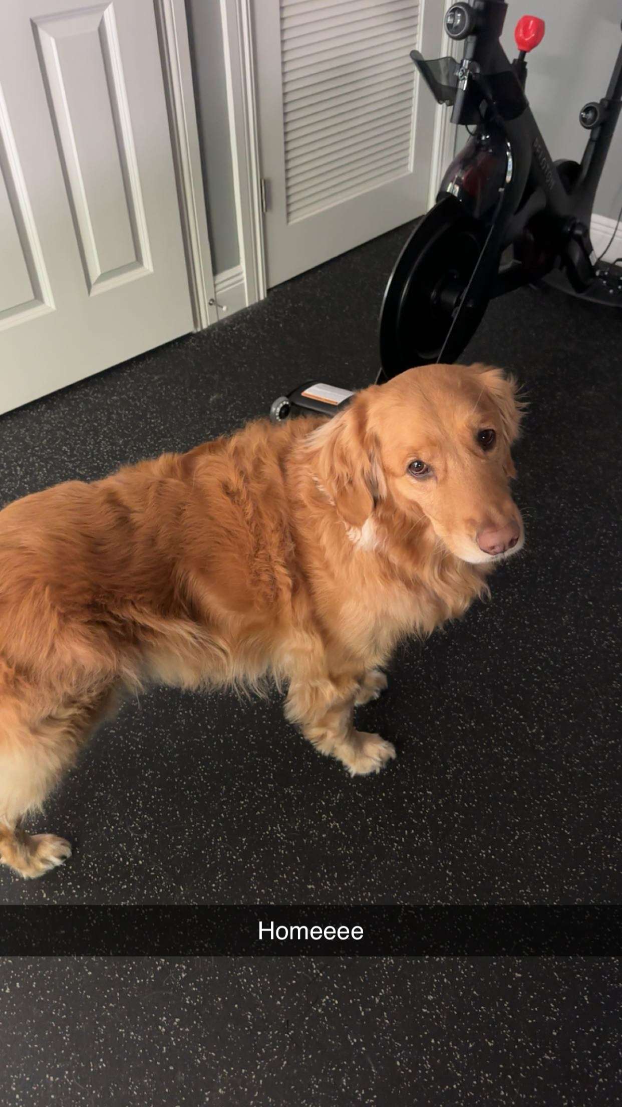 kylaayese snapchat image archive image