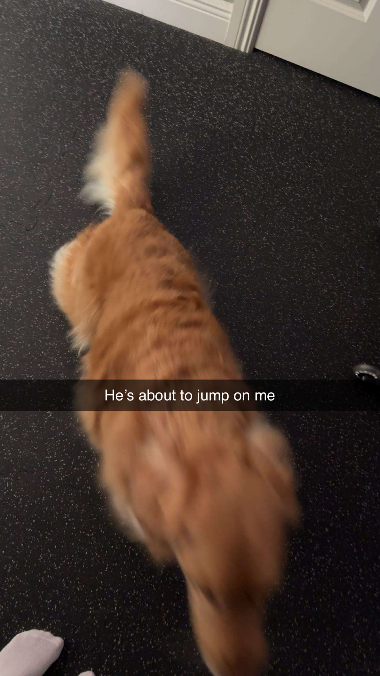 kylaayese snapchat image archive image