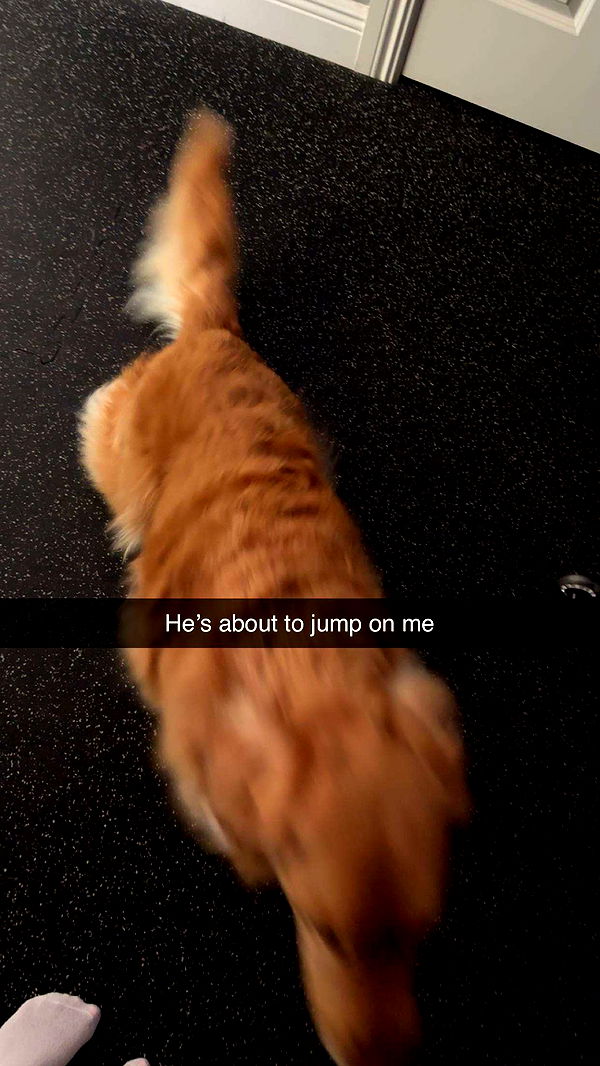 kylaayese image ~ Altpins